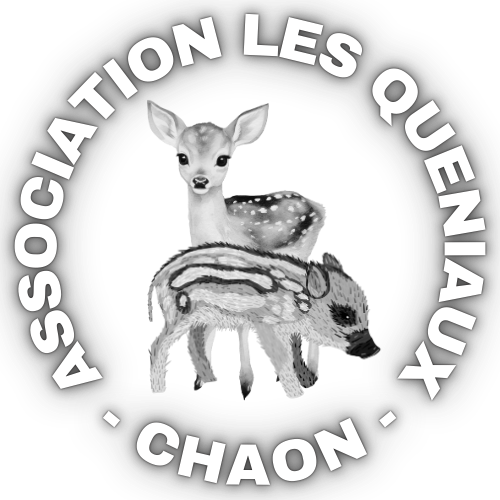 LOGO-pour-fond-sombre